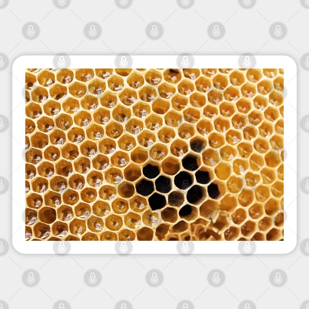 bee hive Sticker by Lamink